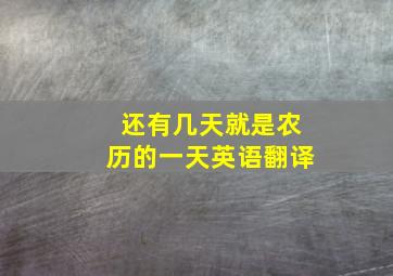 还有几天就是农历的一天英语翻译