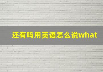 还有吗用英语怎么说what