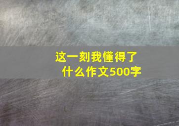 这一刻我懂得了什么作文500字