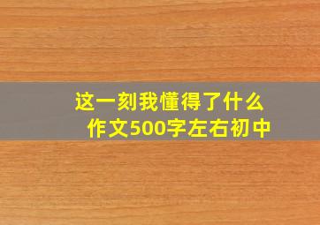 这一刻我懂得了什么作文500字左右初中