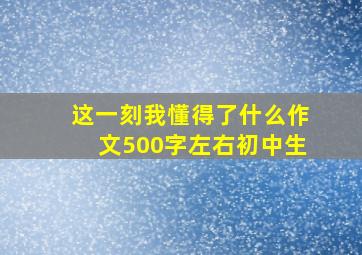 这一刻我懂得了什么作文500字左右初中生