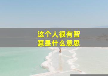 这个人很有智慧是什么意思