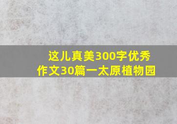 这儿真美300字优秀作文30篇一太原植物园