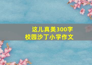 这儿真美300字校园沙丁小学作文