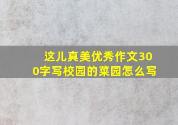 这儿真美优秀作文300字写校园的菜园怎么写