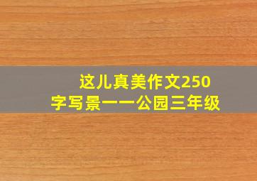 这儿真美作文250字写景一一公园三年级