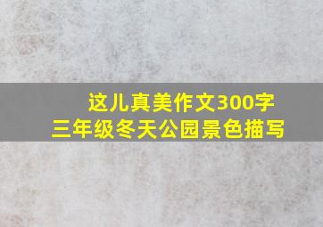 这儿真美作文300字三年级冬天公园景色描写