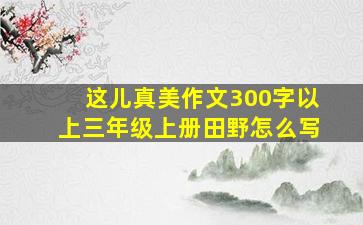 这儿真美作文300字以上三年级上册田野怎么写