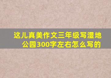 这儿真美作文三年级写湿地公园300字左右怎么写的