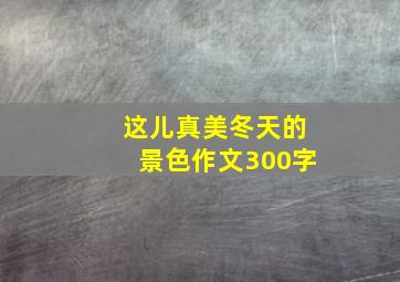 这儿真美冬天的景色作文300字