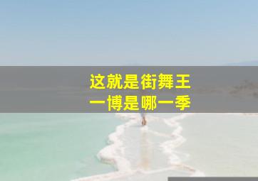 这就是街舞王一博是哪一季