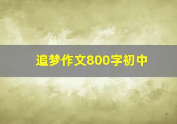 追梦作文800字初中