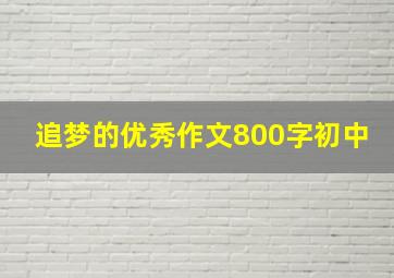 追梦的优秀作文800字初中