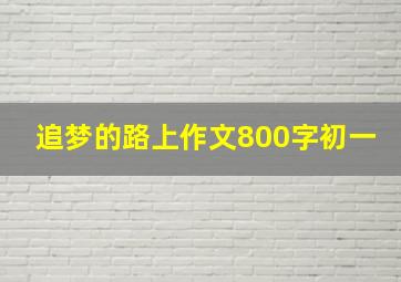 追梦的路上作文800字初一