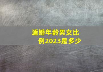 适婚年龄男女比例2023是多少