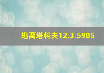 逃离塔科夫12.3.5985