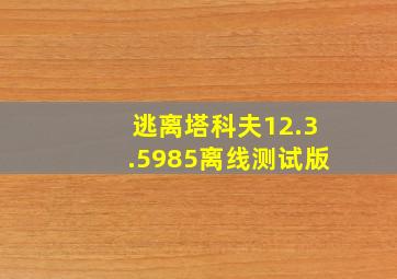 逃离塔科夫12.3.5985离线测试版