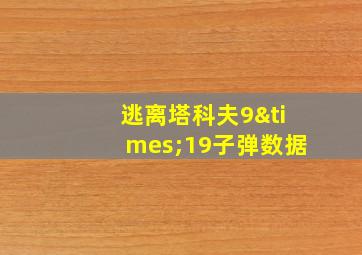 逃离塔科夫9×19子弹数据