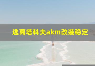 逃离塔科夫akm改装稳定