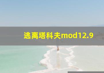 逃离塔科夫mod12.9