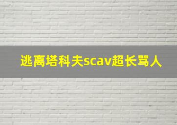 逃离塔科夫scav超长骂人