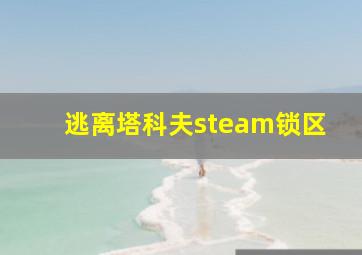 逃离塔科夫steam锁区