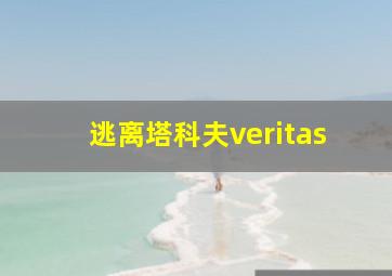 逃离塔科夫veritas