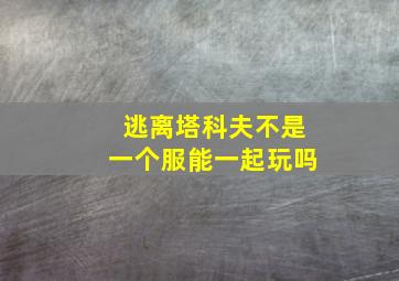 逃离塔科夫不是一个服能一起玩吗