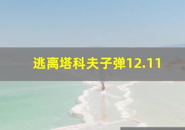 逃离塔科夫子弹12.11