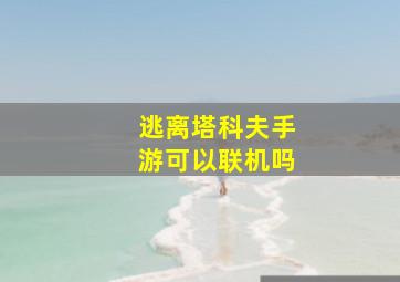 逃离塔科夫手游可以联机吗