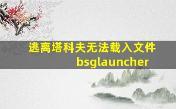 逃离塔科夫无法载入文件bsglauncher