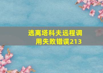 逃离塔科夫远程调用失败错误213