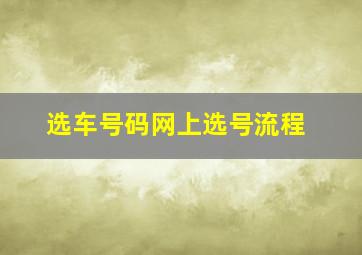 选车号码网上选号流程