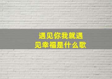 遇见你我就遇见幸福是什么歌