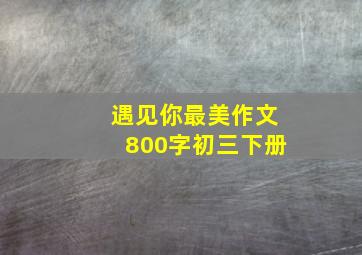 遇见你最美作文800字初三下册