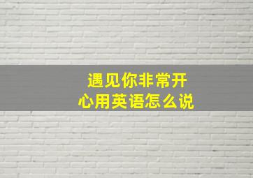 遇见你非常开心用英语怎么说