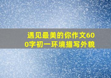 遇见最美的你作文600字初一环境描写外貌