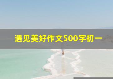 遇见美好作文500字初一