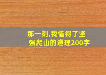 那一刻,我懂得了坚强爬山的道理200字