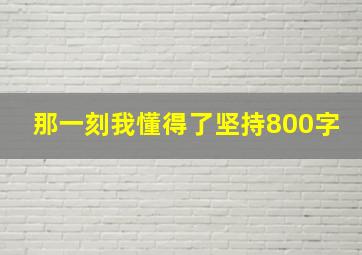 那一刻我懂得了坚持800字