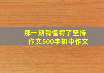 那一刻我懂得了坚持作文500字初中作文