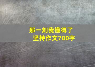 那一刻我懂得了坚持作文700字