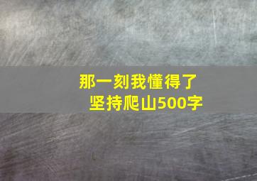 那一刻我懂得了坚持爬山500字