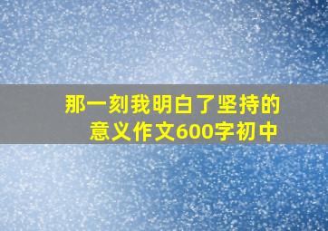 那一刻我明白了坚持的意义作文600字初中