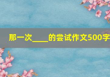 那一次____的尝试作文500字