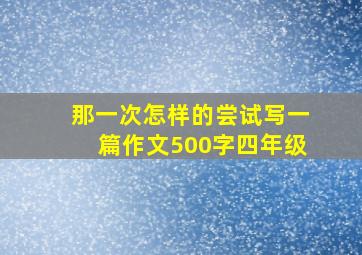 那一次怎样的尝试写一篇作文500字四年级