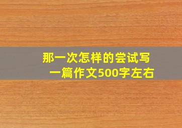 那一次怎样的尝试写一篇作文500字左右