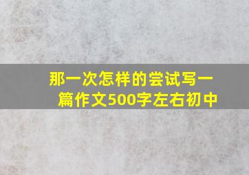 那一次怎样的尝试写一篇作文500字左右初中