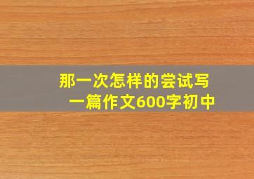 那一次怎样的尝试写一篇作文600字初中