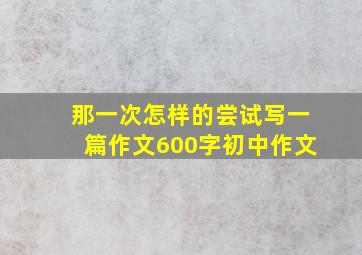 那一次怎样的尝试写一篇作文600字初中作文